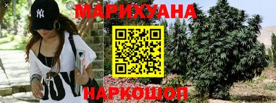 спиды Канаш