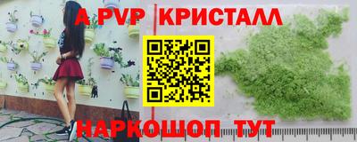 спиды Канаш
