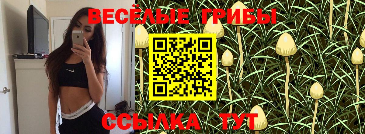 Галлюциногенные грибы Psilocybe  Галлюциногенные грибы MAGIC MUSHROOMS  Вход с VPN  Лениногорск 